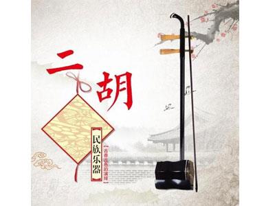 招聘株洲二胡家教老师